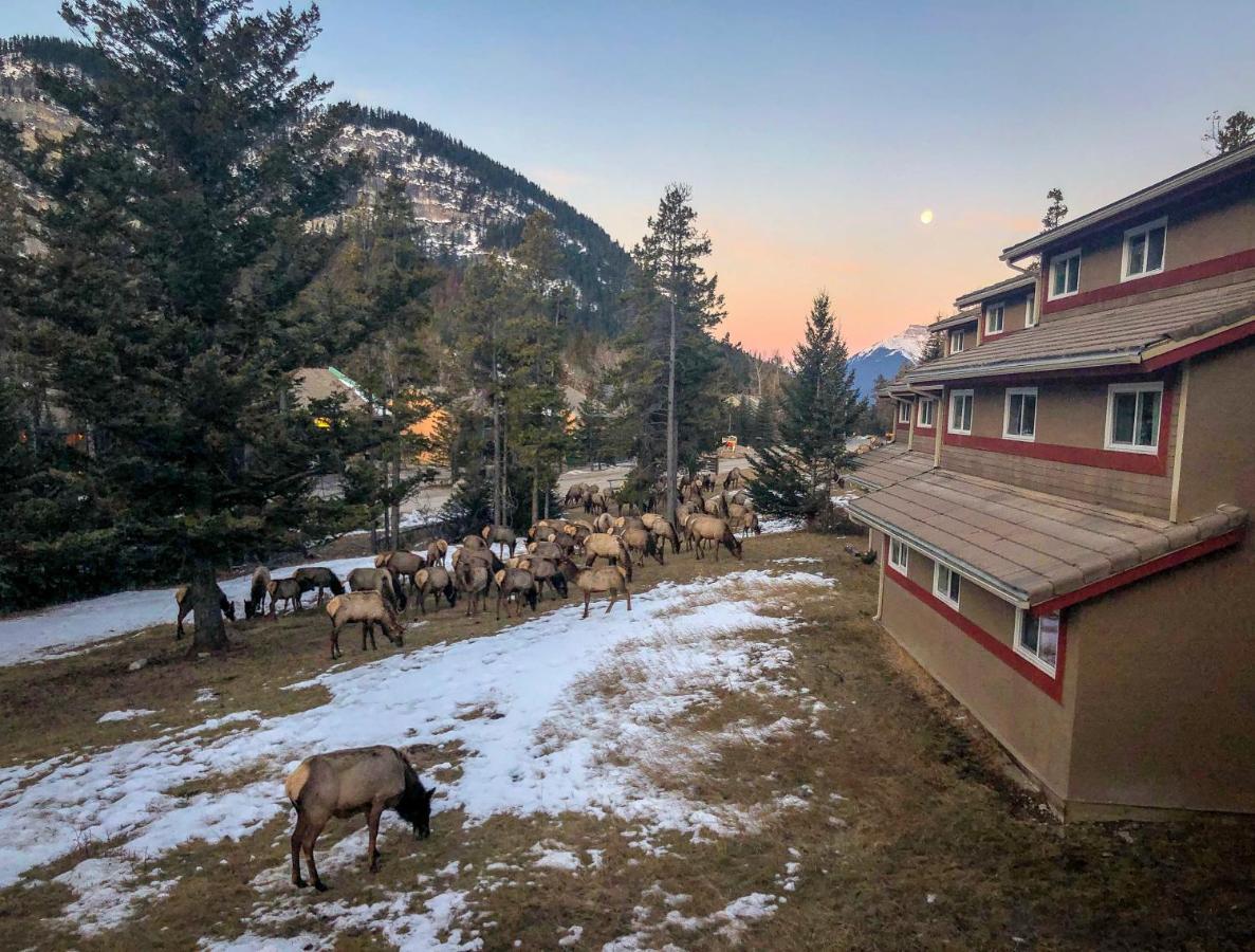 Hi Banff Alpine Centre - Hostel Eksteriør bilde